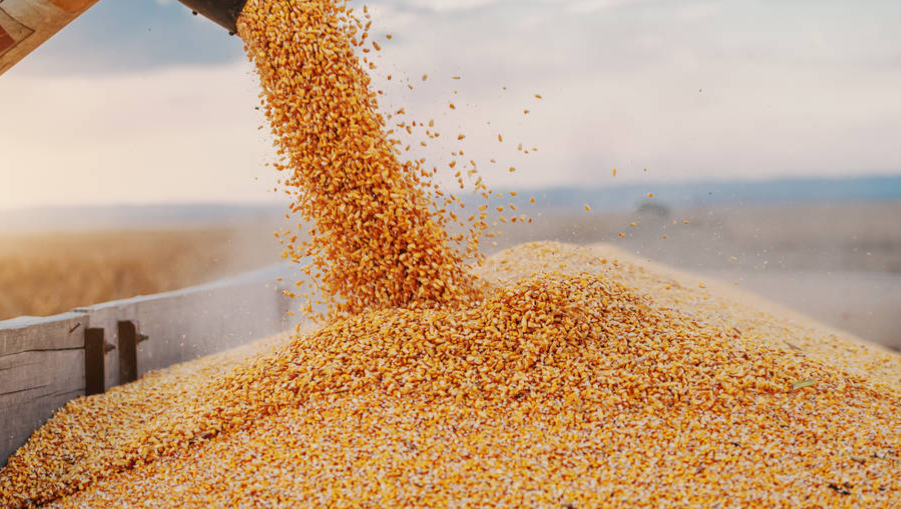 How to Increase the Output of Grain Dryers