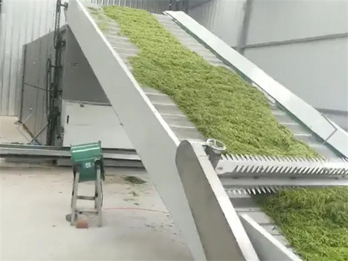 Mesh Belt Dryer Large Belt Drying Line(pic1)