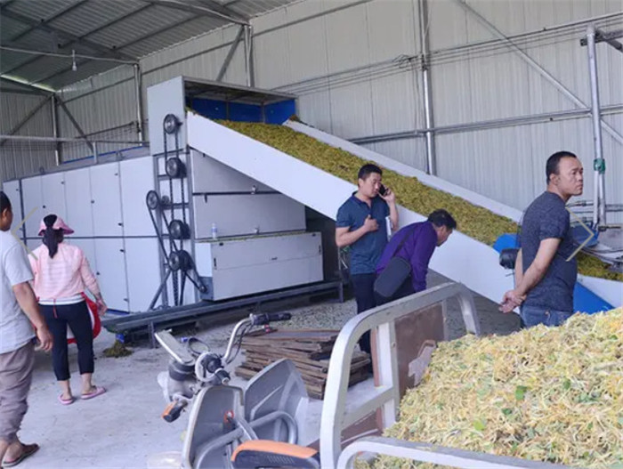 Mesh Belt Dryer Large Belt Drying Line(pic3)
