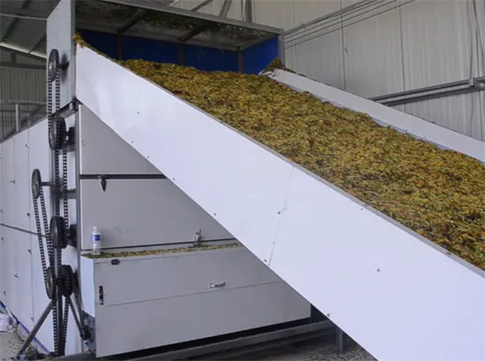 Mesh Belt Dryer Large Belt Drying Line(pic4)