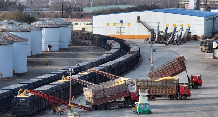 Grain Logistics Accelerates with Digital Intelligence(pic1) Grain Logistics Accelerates with Digital Intelligence(pic1)