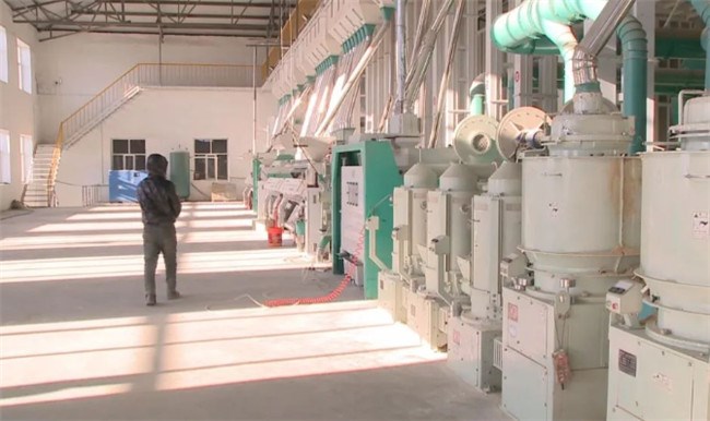 UGOOD Group assists Dalong Rice Industry in building a green and healthy rice brand(pic2)