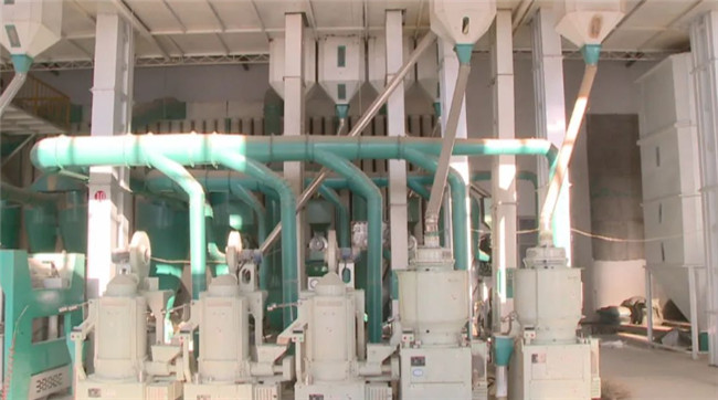 UGOOD Group assists Dalong Rice Industry in building a green and healthy rice brand(pic4)