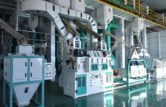 UGOOD Groups 100,000-ton Rice Production Line Goes into Operation(pic2) UGOOD 100,000-ton Rice Milling Processing Line Was Put into Operation(pic2)
