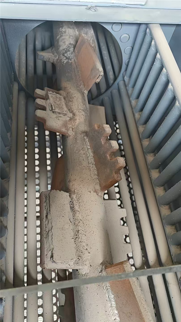 Large Automatic Corn Seeds Thresher for Seeds Company(pic6)