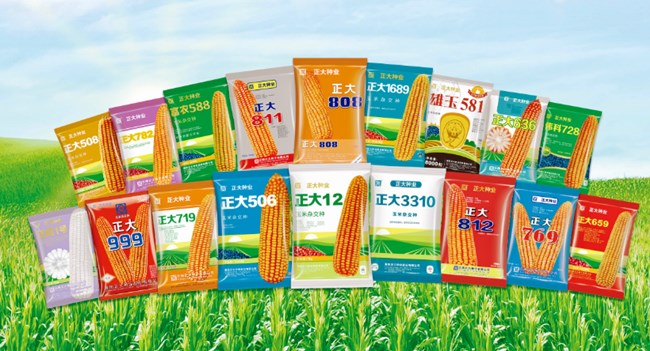 Seeds Corn Threshers Exported to CP Seeds Company