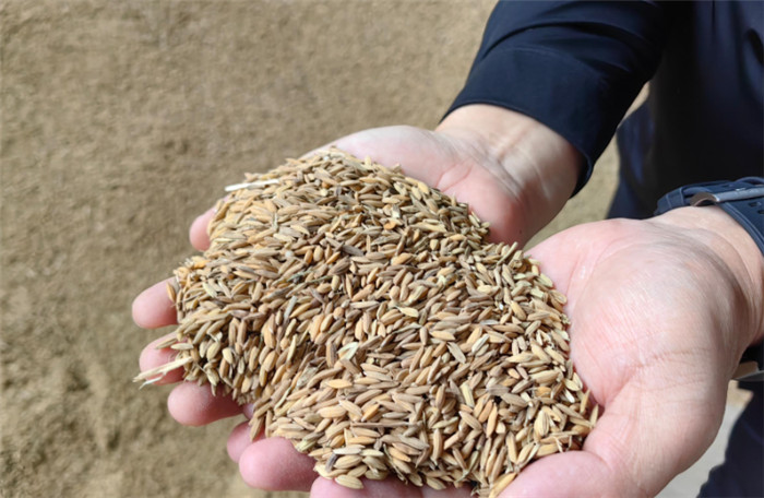 He rose from a small workshop to a laarge rice processing plant with the assistance of UGOOD(pic2) He rose from a small workshop to a large rice processing plant with the assistance of UGOOD(pic2)