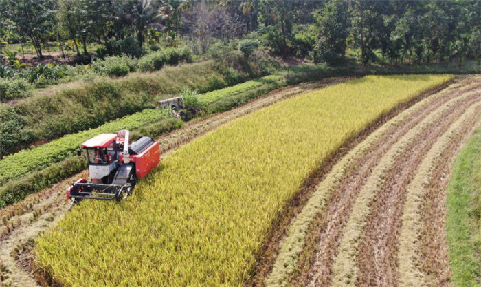 He rose from a small workshop to a laarge rice processing plant with the assistance of UGOOD(pic4) He rose from a small workshop to a large rice processing plant with the assistance of UGOOD(pic4)