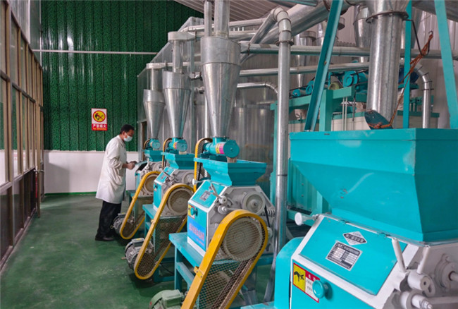 UGOOD Supports the Development of the Entire Grain Industry Chain in Panan Town(pic1) UGOOD Supports the Development of the Entire Grain Industry Chain in Panan Town(pic1)