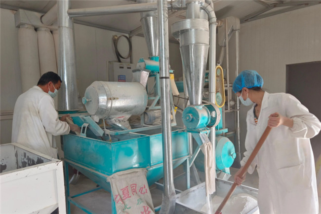 UGOOD Supports the Development of the Entire Grain Industry Chain in Panan Town(pic3) UGOOD Supports the Development of the Entire Grain Industry Chain in Panan Town(pic3)