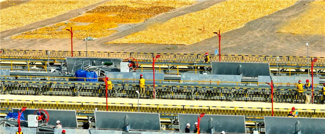 UGOOD Seeds Corn Ears Processing Line in Zhangye(pic1)