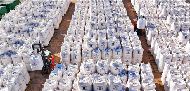 UGOOD Seeds Corn Ears Processing Line in Zhangye(pic8)